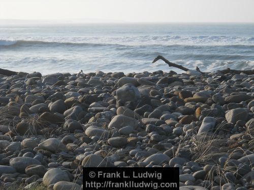 Strandhill